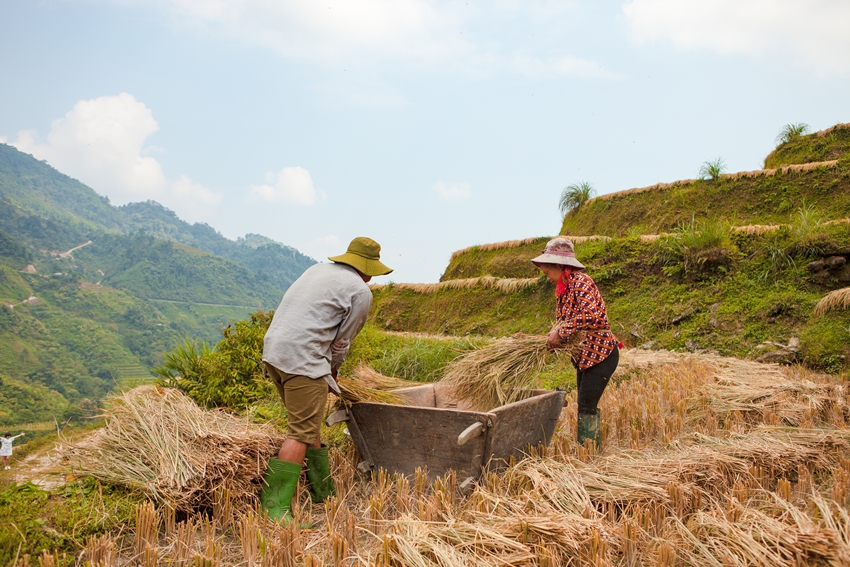 Top 10 plus belles randonnées au Vietnam